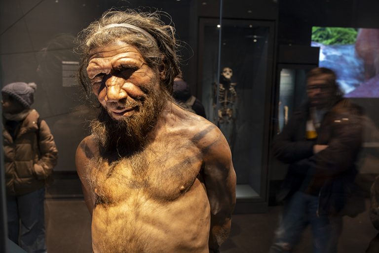 Sir Patrick Stewart narrerà il documentario “Il segreto dei Neanderthal” su Netflix – Series News